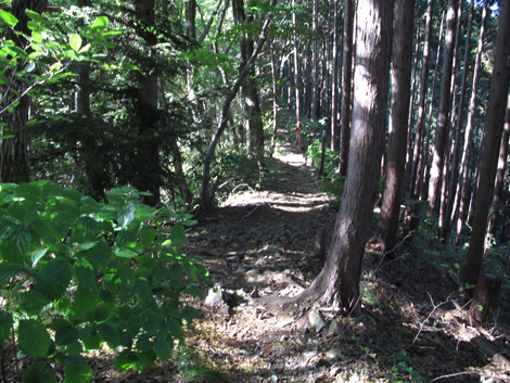 20171026hike (243)